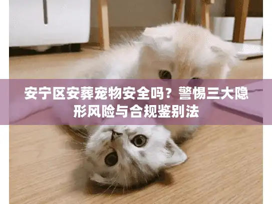 安宁区安葬宠物安全吗？警惕三大隐形风险与合规鉴别法