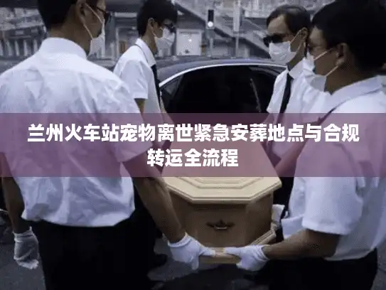 兰州火车站宠物离世紧急安葬地点与合规转运全流程