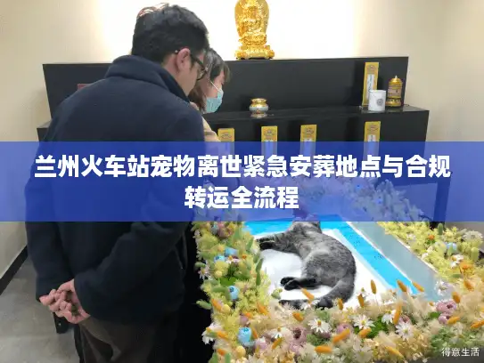 兰州火车站宠物离世紧急安葬地点与合规转运全流程