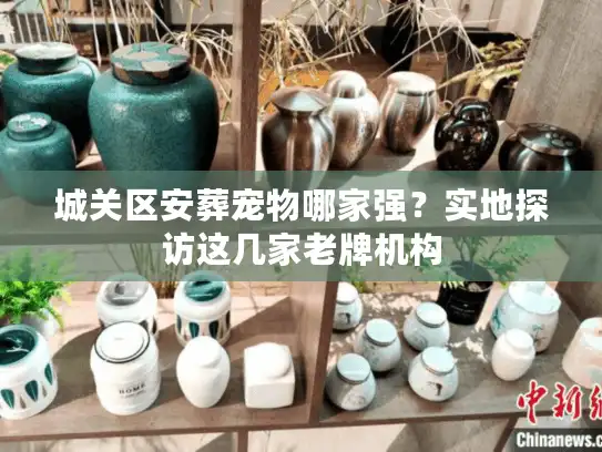 城关区安葬宠物哪家强？实地探访这几家老牌机构