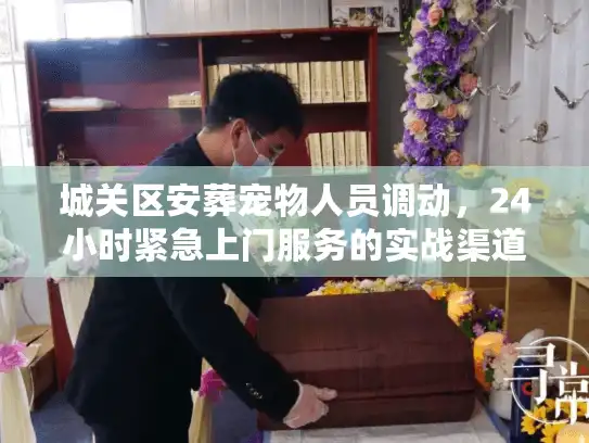 城关区安葬宠物人员调动，24小时紧急上门服务的实战渠道