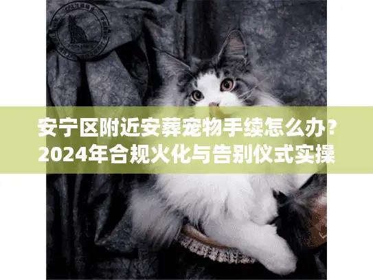 安宁区附近安葬宠物手续怎么办？2024年合规火化与告别仪式实操