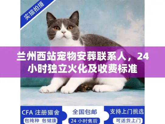 兰州西站宠物安葬联系人，24小时独立火化及收费标准