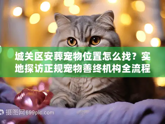 城关区安葬宠物位置怎么找？实地探访正规宠物善终机构全流程
