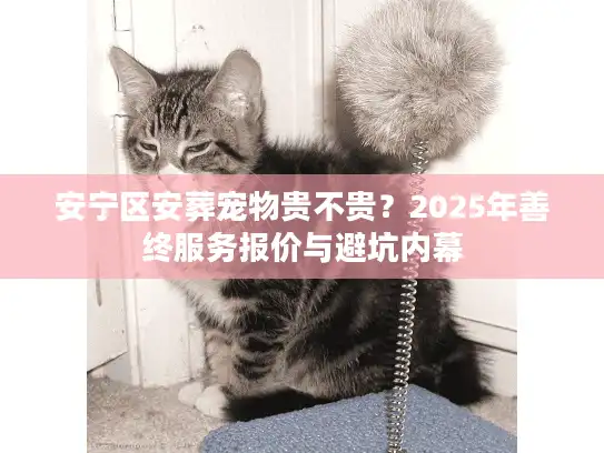 安宁区安葬宠物贵不贵？2025年善终服务报价与避坑内幕
