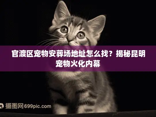 官渡区宠物安葬场地址怎么找？揭秘昆明宠物火化内幕