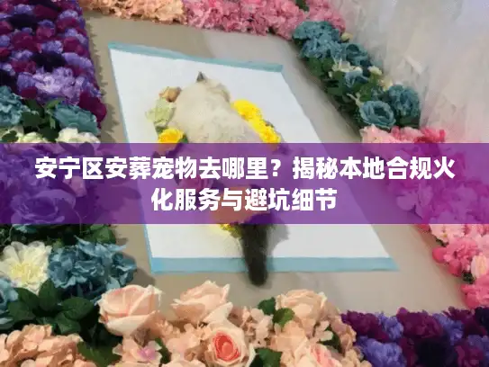安宁区安葬宠物去哪里？揭秘本地合规火化服务与避坑细节