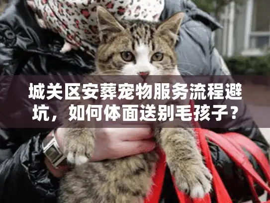 城关区安葬宠物服务流程避坑，如何体面送别毛孩子？