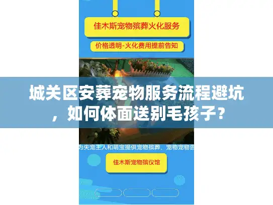城关区安葬宠物服务流程避坑，如何体面送别毛孩子？