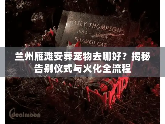 兰州雁滩安葬宠物去哪好？揭秘告别仪式与火化全流程