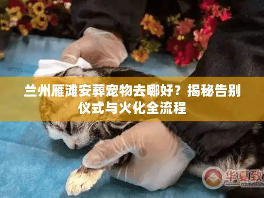兰州雁滩安葬宠物去哪好？揭秘告别仪式与火化全流程