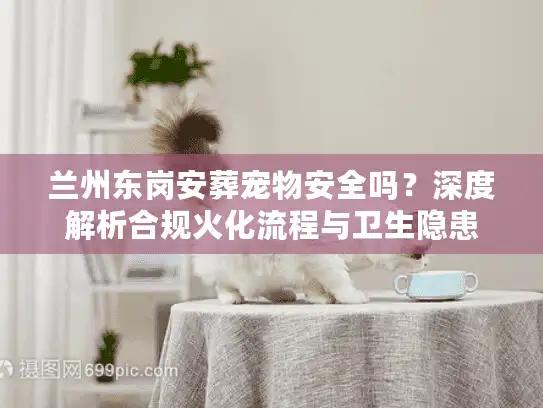 兰州东岗安葬宠物安全吗？深度解析合规火化流程与卫生隐患