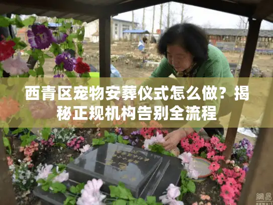 西青区宠物安葬仪式怎么做？揭秘正规机构告别全流程