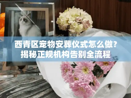 西青区宠物安葬仪式怎么做？揭秘正规机构告别全流程