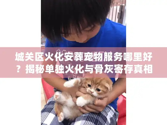 城关区火化安葬宠物服务哪里好？揭秘单独火化与骨灰寄存真相