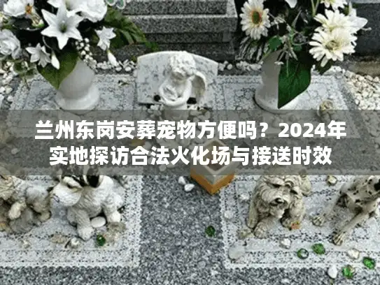 兰州东岗安葬宠物方便吗？2024年实地探访合法火化场与接送时效