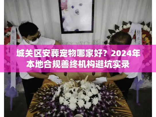 城关区安葬宠物哪家好？2024年本地合规善终机构避坑实录