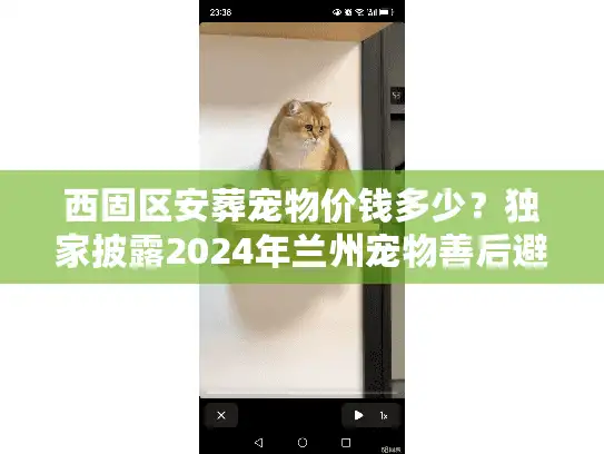 西固区安葬宠物价钱多少？独家披露2024年兰州宠物善后避坑实录