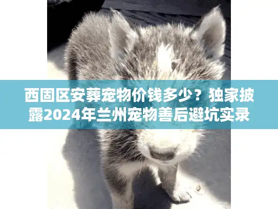 西固区安葬宠物价钱多少？独家披露2024年兰州宠物善后避坑实录