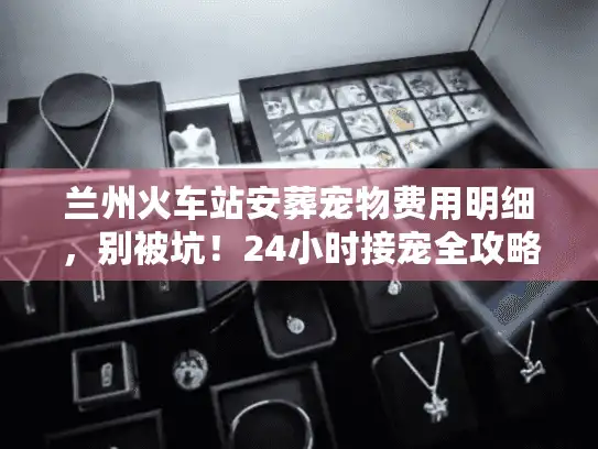 兰州火车站安葬宠物费用明细，别被坑！24小时接宠全攻略