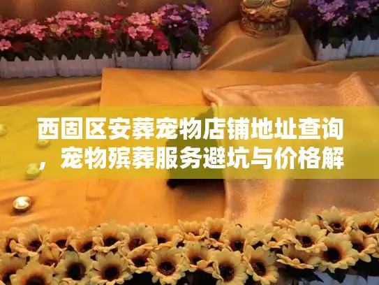 西固区安葬宠物店铺地址查询，宠物殡葬服务避坑与价格解析
