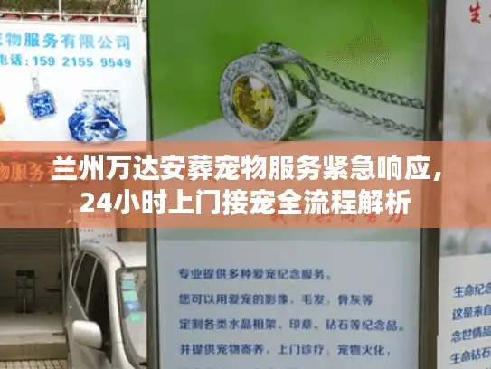 兰州万达安葬宠物服务紧急响应，24小时上门接宠全流程解析