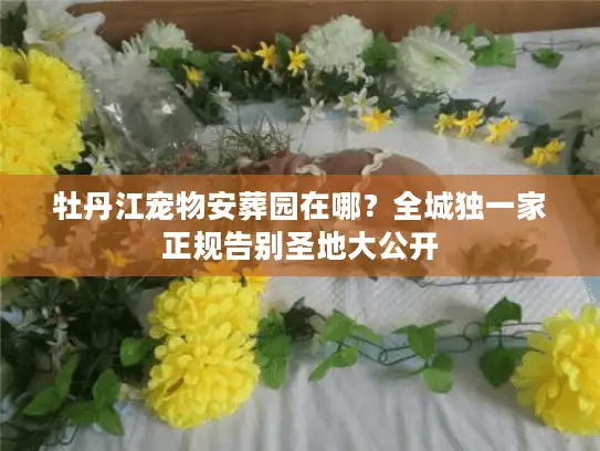 牡丹江宠物安葬园在哪？全城独一家正规告别圣地大公开