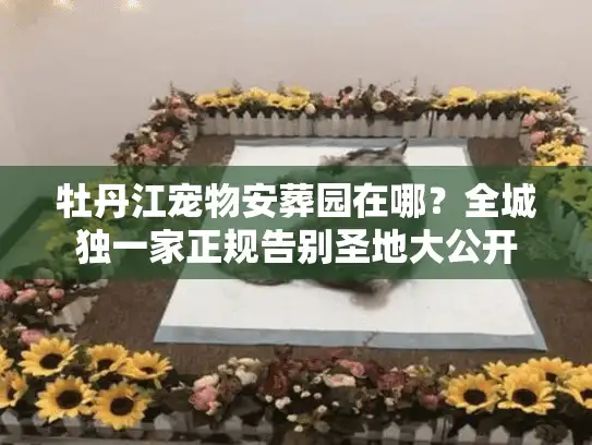 牡丹江宠物安葬园在哪？全城独一家正规告别圣地大公开