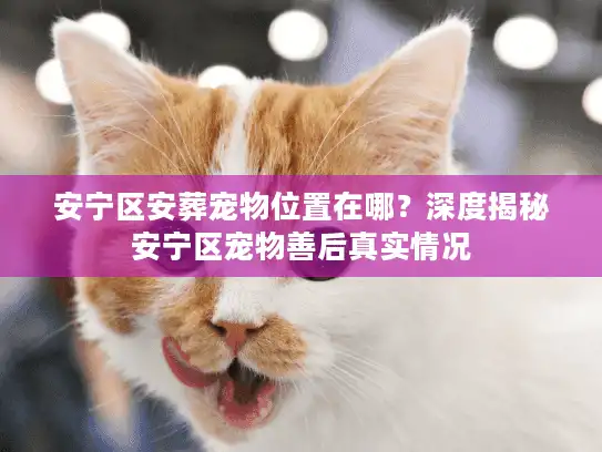 安宁区安葬宠物位置在哪？深度揭秘安宁区宠物善后真实情况