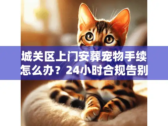 城关区上门安葬宠物手续怎么办？24小时合规告别全流程