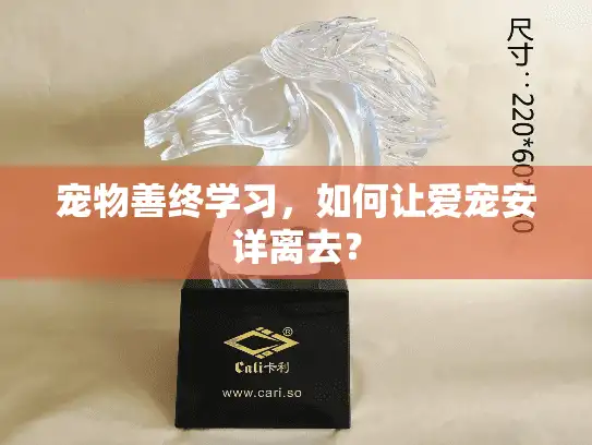 宠物善终学习，如何让爱宠安详离去？
