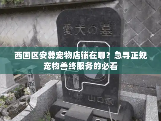 西固区安葬宠物店铺在哪？急寻正规宠物善终服务的必看
