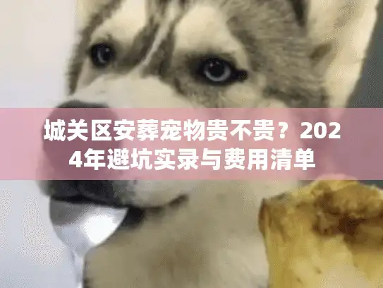 城关区安葬宠物贵不贵？2024年避坑实录与费用清单