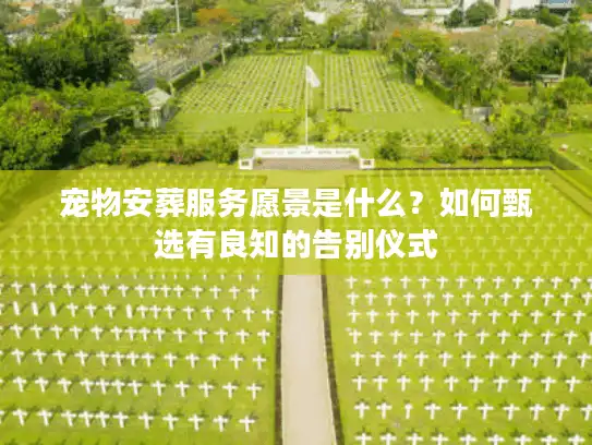 宠物安葬服务愿景是什么？如何甄选有良知的告别仪式