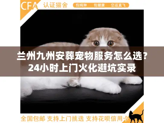 兰州九州安葬宠物服务怎么选？24小时上门火化避坑实录