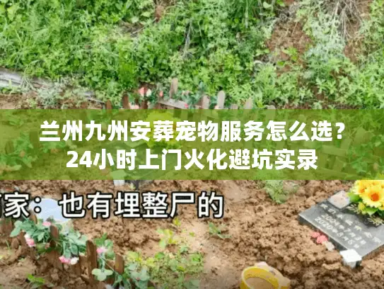 兰州九州安葬宠物服务怎么选？24小时上门火化避坑实录