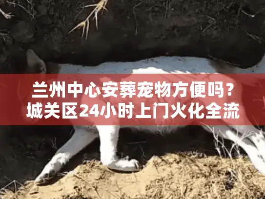 兰州中心安葬宠物方便吗？城关区24小时上门火化全流程