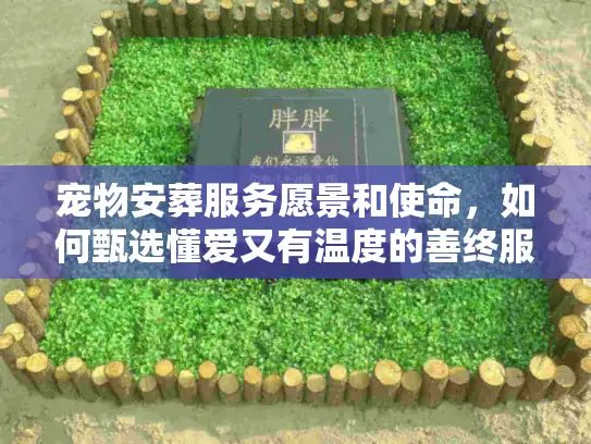 宠物安葬服务愿景和使命，如何甄选懂爱又有温度的善终服务商？