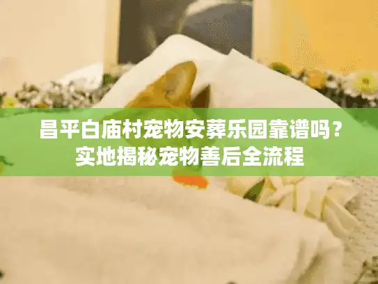 昌平白庙村宠物安葬乐园靠谱吗？实地揭秘宠物善后全流程