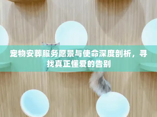 宠物安葬服务愿景与使命深度剖析，寻找真正懂爱的告别
