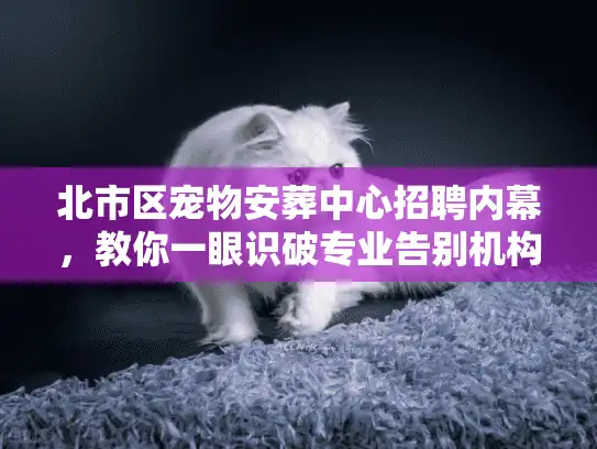 北市区宠物安葬中心招聘内幕，教你一眼识破专业告别机构