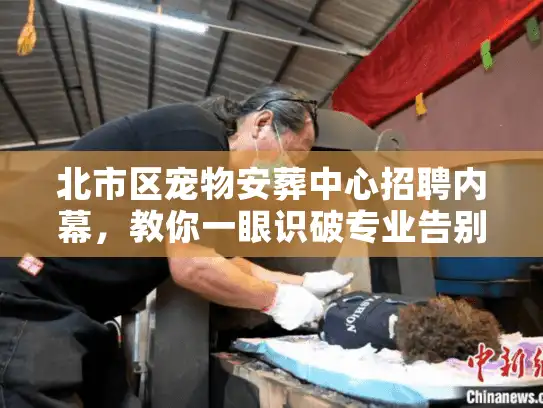 北市区宠物安葬中心招聘内幕，教你一眼识破专业告别机构