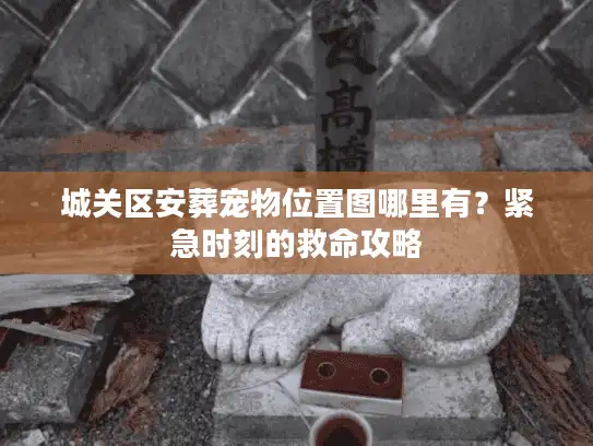 城关区安葬宠物位置图哪里有？紧急时刻的救命攻略