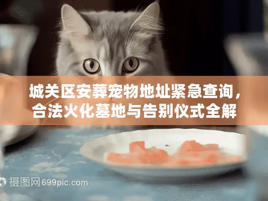 城关区安葬宠物地址紧急查询，合法火化墓地与告别仪式全解
