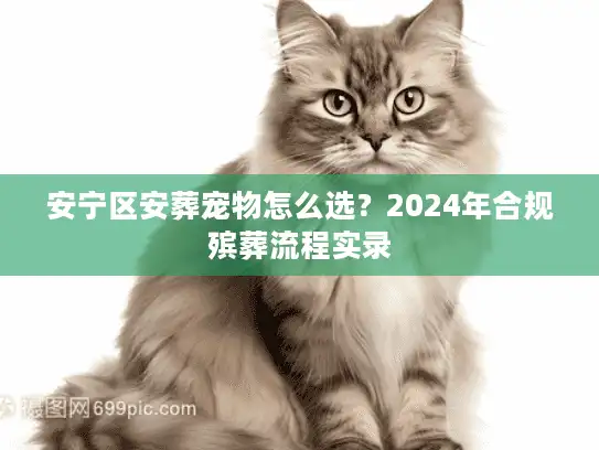 安宁区安葬宠物怎么选？2024年合规殡葬流程实录