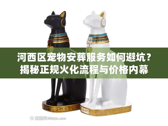 河西区宠物安葬服务如何避坑？揭秘正规火化流程与价格内幕