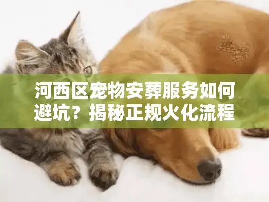 河西区宠物安葬服务如何避坑？揭秘正规火化流程与价格内幕