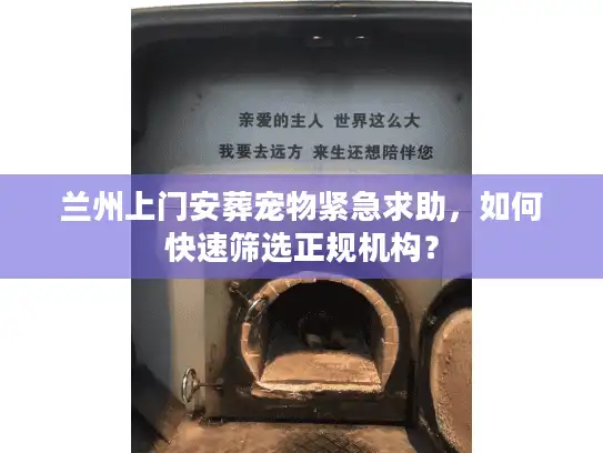 兰州上门安葬宠物紧急求助，如何快速筛选正规机构？