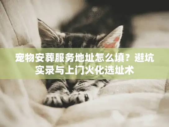 宠物安葬服务地址怎么填？避坑实录与上门火化选址术