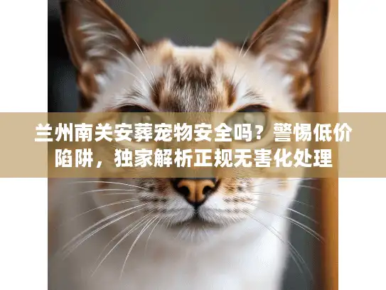 兰州南关安葬宠物安全吗？警惕低价陷阱，独家解析正规无害化处理